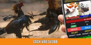 Cách Vào SV388 - Hướng Dẫn Toàn Vẹn Từ A-Z Cho Anh Em