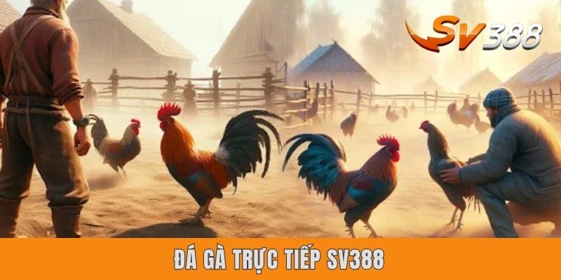 Đá Gà Trực Tiếp Sv388 | Giới Thiệu 3 Thể Thức Ưa Chuộng Nhất Đá Gà Trực Tiếp Sv388 | Giới Thiệu 3 Thể Thức Ưa Chuộng Nhất