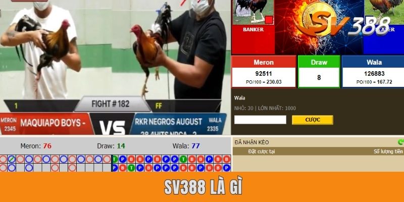 SV388 Là Gì? Khám Phá Thánh Địa Đá Gà Trực Tuyến Đỉnh Cao SV388 Là Gì? Khám Phá Thánh Địa Đá Gà Trực Tuyến Đỉnh Cao