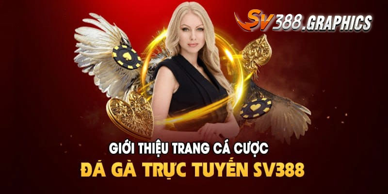 giới thiệu sv388