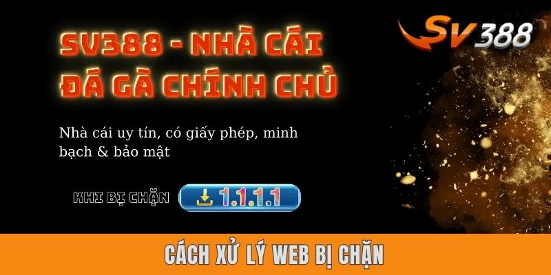 Cách xử lý web bị chặn
