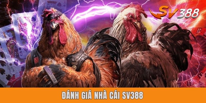 Đánh Giá Nhà Cái Sv388 Công Tâm Qua 4 Yếu Tố Trọng Yếu Nhất Đánh Giá Nhà Cái Sv388 Công Tâm Qua 4 Yếu Tố Trọng Yếu Nhất