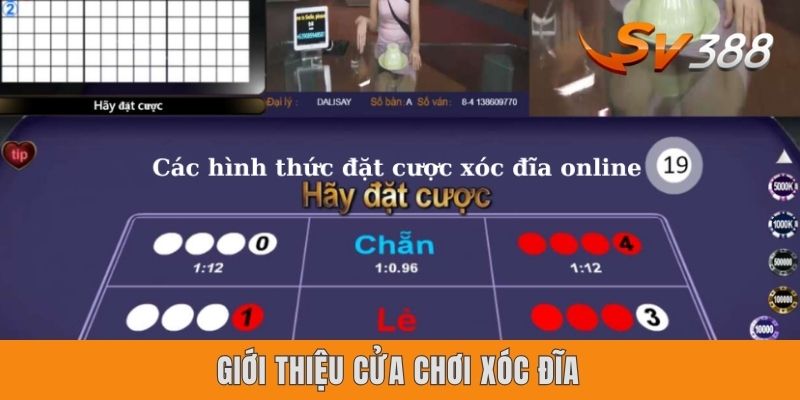 Giới thiệu cửa chơi xóc đĩa