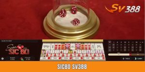 Sicbo Sv388 - Cách Chơi Dễ Thắng Từ Chuyên Gia Hàng Đầu