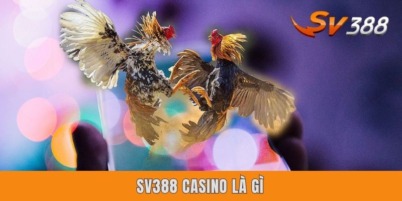 Sv388 Casino Là Gì? Sân chơi Chọi Gà Online Đỉnh Cao 2025
