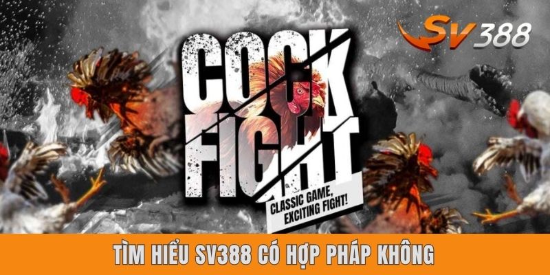 Tìm hiểu Sv388 có hợp pháp không