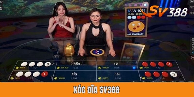 Xóc Đĩa Sv388 | 3 Bí Kíp Soi Cầu Ăn Tiền Thật Bất Bại