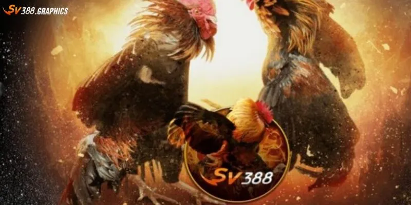 Hoàn tất quá trình