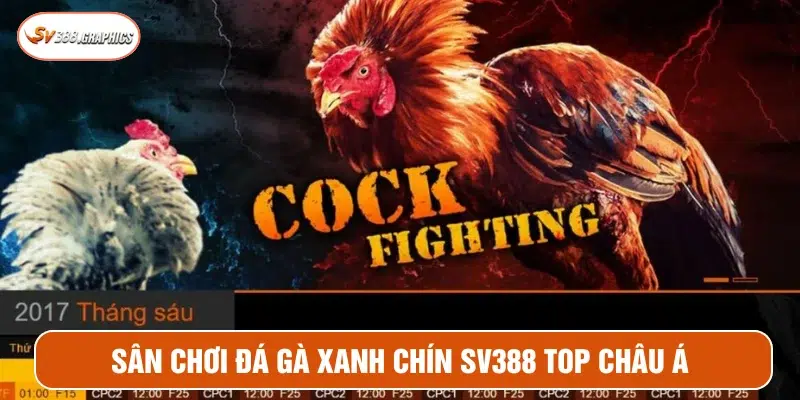 Lịch sử hình thành của nhà cái SV388 người chơi cần nắm 