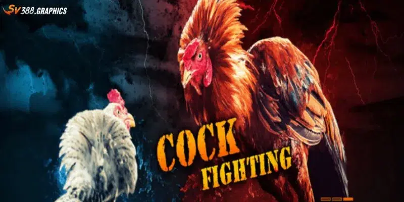 Truy cập trang chủ