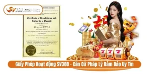 Giấy phép hoạt động SV388